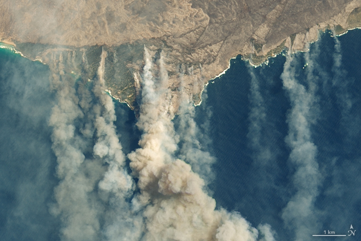 The Operational Land Imager (OLI) on the Landsat 8 satellite acquired natural-color observations of burned land and thick smoke covering Australia’s Kangaroo Island on 9 January 2020. According to news reports, at least 156,000 hectares (600 square miles, nearly one-third of the land area) have burned and 50 homes have been destroyed on the island of 4,700 people. Photo: Lauren Dauphin / NASA Earth Observatory