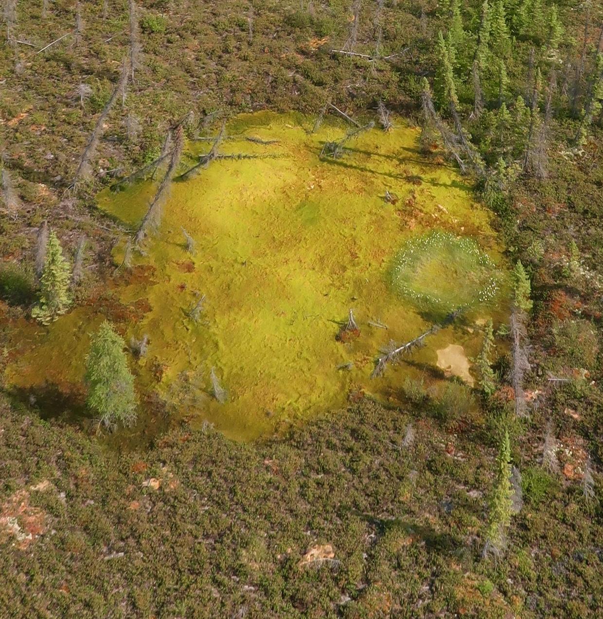 Aerial view of a sinkhole caused by rapid permafrost thawing. Abrupt thawing is “fast and dramatic” and it “affects landscapes in unprecedented ways” says Dr. Merritt Turetsky. Photo: Dr. Merritt Turetsky