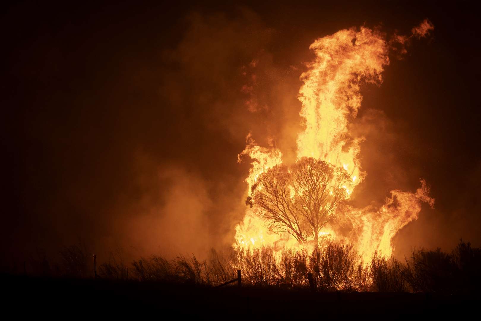The Clear Range Fire burns in Bredbo North, New South Wales, Australia shortly before overrunning the property of Lawrence and Clair Cowie on 1 February 2020. Photo: Brook Mitchell / Getty Images