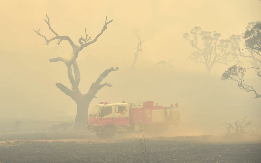 Firefighters fight a bushfire burning near the town of Bumbalong, south of Canberra, on 2 February 2020. Photo: Peter Parks / AFP / Getty Images