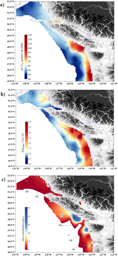 Interpolated pCO2,60 (a), ∆Ωcal,60 (b) and chlorophyll (c) conditions in the onshore and offshore habitats along the U.S. West Coast in June 2016. pCO2 reflects the conditions at 60 m depth and ∆Ωcal,60 indicates the difference between the surface and 60 m depth. c) Chlorophyll distribution and concentration (chl-a; μg/L) demonstrate an order of magnitude difference between the regional nearshore and offshore region. The numbers indicate the stations at which the crabs were collected. Photo: Bednaršek, et al., 2020 / Science of The Total Environment