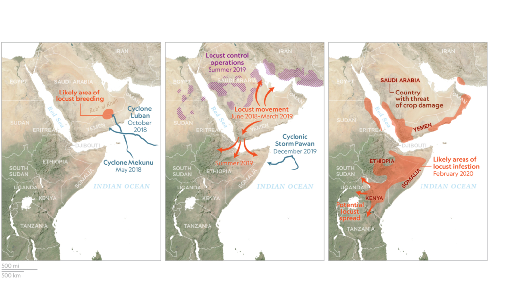 Map showing the progression of locust swarms in East Africa, 2018-2020. Graphic: National Geographic
