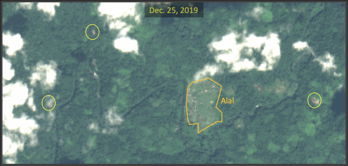 Satellite images taken one month apart, on 25 December 2019 and 26 January 2020, show a big recent jump in clearing activity (indicated by yellow circles) in the Bosawás Biosphere Reserve around the indigenous community of Alal, Nicaragua. Source: Sentinel-2 and Landsat 8, accessed through Global Forest Watch. Graphic: Mongabay