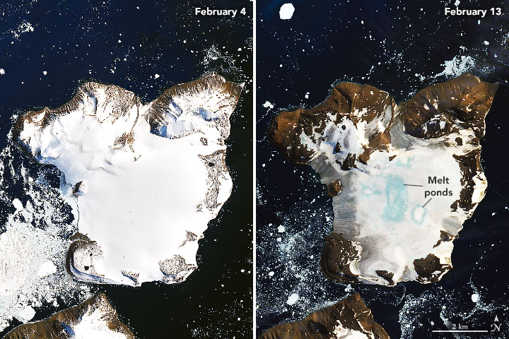 Satellite images acquired by the Operational Land Imager (OLI) show melting on the ice cap of Eagle Island, Antarctica on 4 February 2020 and 13 February 2020. Photo: Joshua Stevens / NASA Earth Observatory