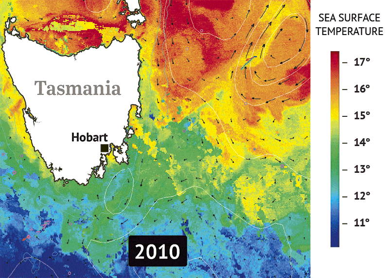 Sea surface temperatures off the coast of Tasmania on November 23, 2010-2017. Data: Integrated Marine Observing System (IMOS). Graphic: The Sydney Morning Herald