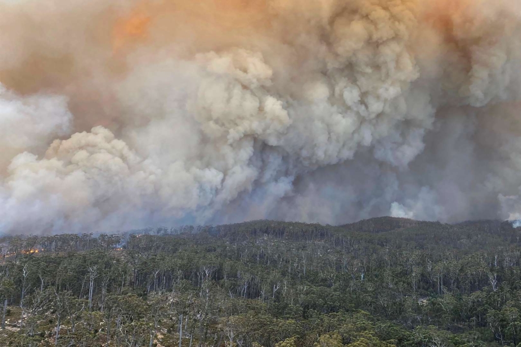 Smoke rises as the Big Jack Mountain fire spreads in Bega Valley, New South Wales, Australia on 1 February 2020. Photo: NSW Rural Fire Service / Reuters