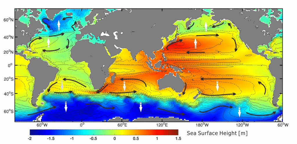 Schematic diagram​ of the major wind-driven ocean circulation (black arrows) and their movement (white arrows) under global warming. Graphic: Hu Yang / Alfred-Wegener-Institut