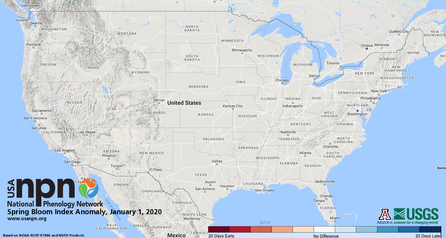 Spring bloom index anomaly in the continental United States, 1 January 2020 - 7 March 2020. In parts of the Southeast U.S., the arrival of spring in 2020 is the earliest in the 39-year record. Graphic: National Phenology Network