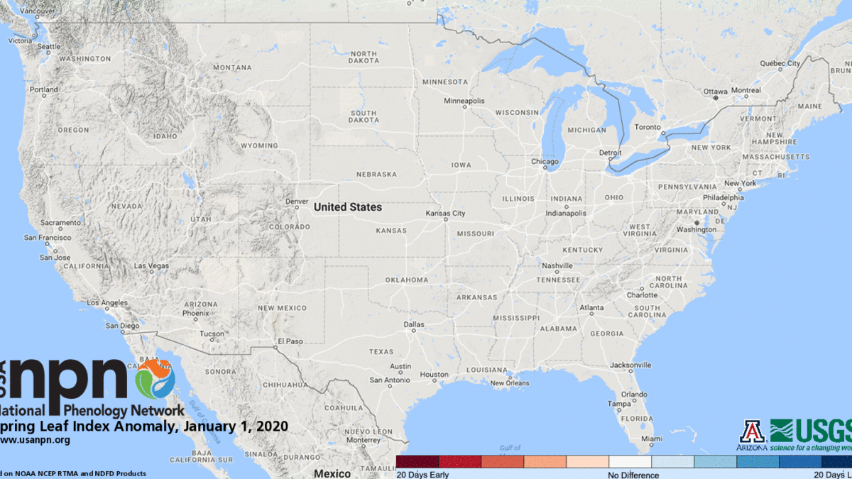 Spring leaf index anomaly in the continental United States, 1 January 2020 - 7 March 2020. In parts of the Southeast U.S., the arrival of spring in 2020 is the earliest in the 39-year record. Graphic: National Phenology Network