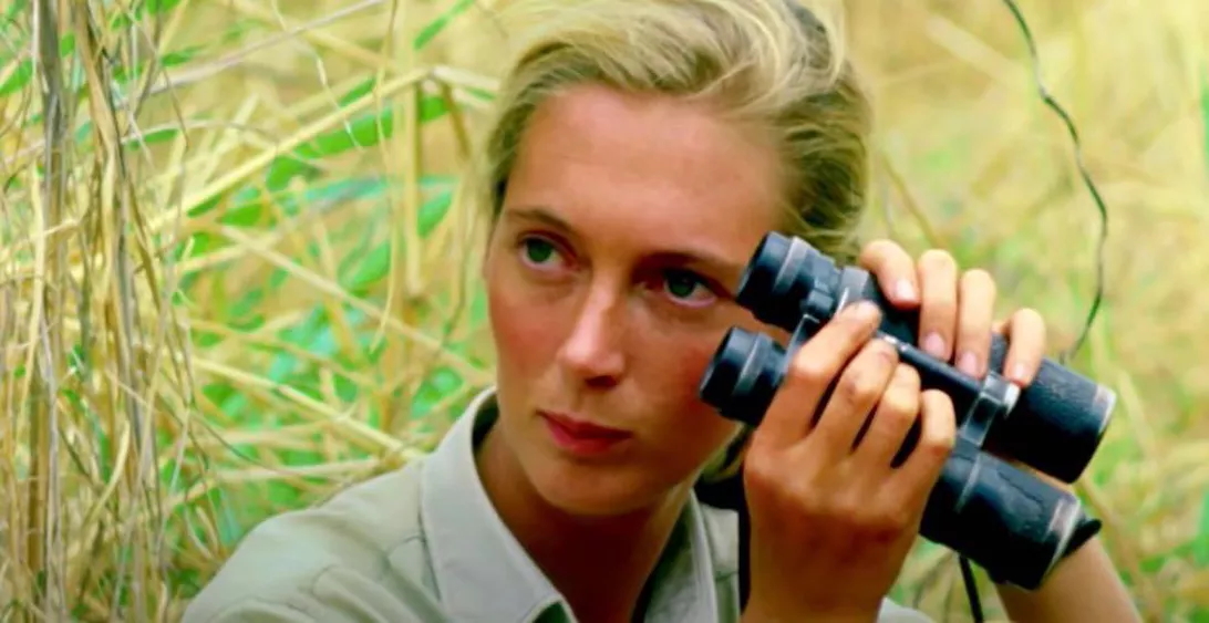 Dame Jane Goodall is known for her work with primates, but she’s also an avid animal rights and environmental activist. In a CNET interviews, she says, “It’s because of our lack of respect for the environment that this terrible COVID-19 virus has shut down the world”. Photo: National Geographic