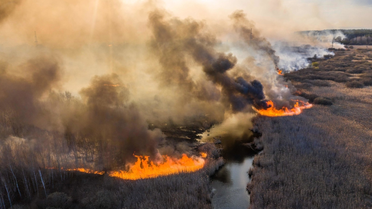 Aerial view of a field fire burning on 10 April 2020 in the Chernobyl Exclusion Zone in Ukraine. Photo: Volodymyr Shuvayev / Agence France-Presse / Getty Images
