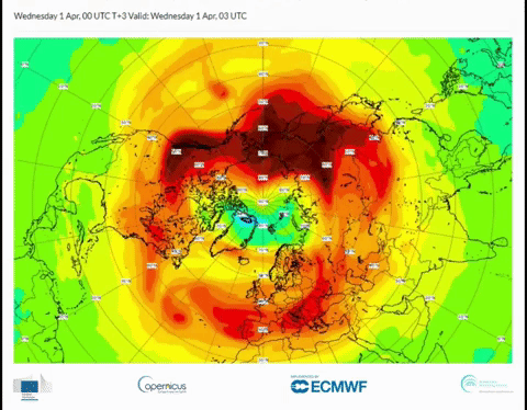 Total column ozone field (in Dobson Units) from CAMS, 1 April 2020 - 6 April 2020, showing values below 250 DU over large parts of the Arctic. Video: Copernicus Atmosphere Monitoring Service / ECMWF