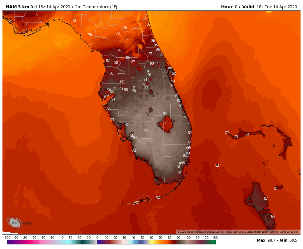 Simulated high temperatures in Florida on Tuesday, 14 April 2020 by the American NAM model. Graphic: WeatherBell
