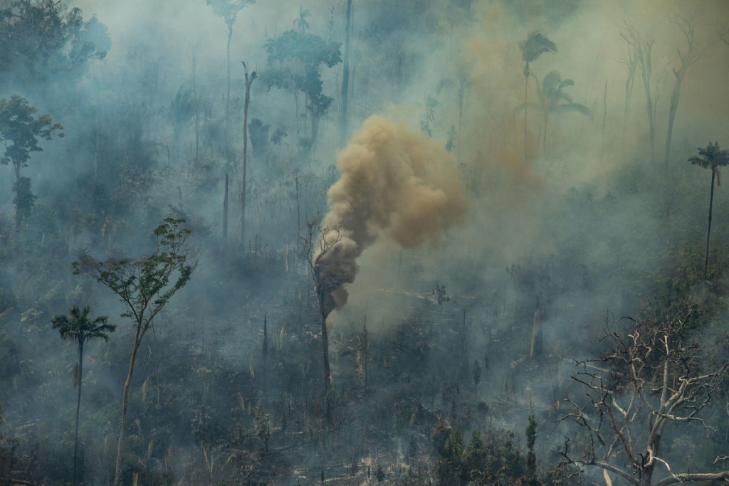 Aerial view of burned areas in the Amazon rainforest, near the city of Porto Velho, Rondônia state. Photo: Victor Moriyama / Greenpeace