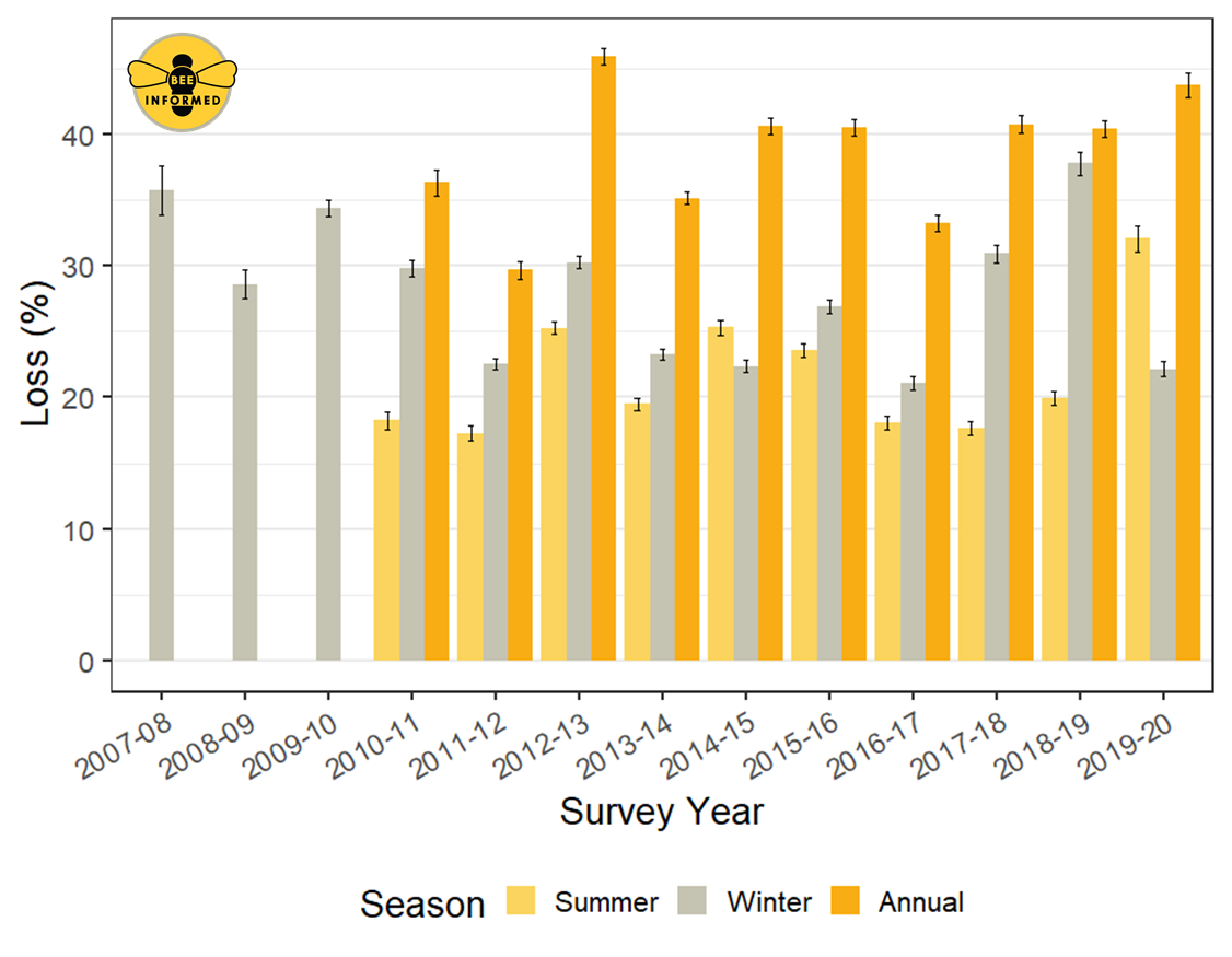 Total summer (yellow bars; 1 April – 1 October), winter (gray; 1 October – 1 April), and annual (orange bars; 1 October – 1 October) honey bee colony loss rates in the United States across years of the Bee Informed Partnership’s national honey bee colony loss survey, 2007/2008-2019/2020. Results from the inaugural survey commissioned by the Apiary Inspectors of America and performed in 2006-07 are not included. Graphic: The Bee Informed Partnership