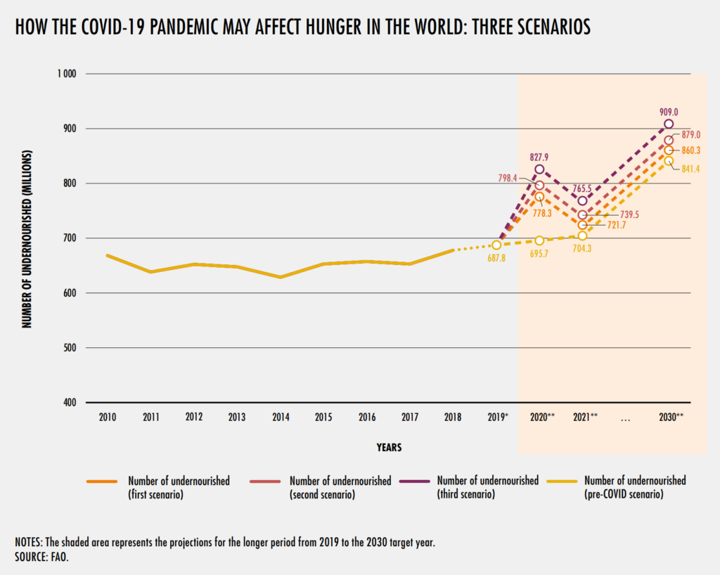 Number of global undernourished, 2010-2020 and projected to 2030 under three Covid scenarios. Graphic: UNFAO