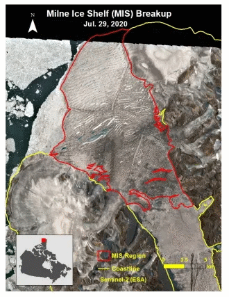 A true color Sentinel-2 image (ESA) of the Milne Ice Shelf before and after it broke up at the end of July 2020. The ice shelf extent is in red and the coastline is in yellow. Map courtesy Yulia Antropova. Photo: WIRL