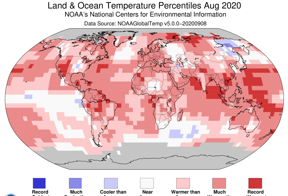 August 2020 blended land and sea surface temperature percentiles. Graphic: NOAA / NCEI