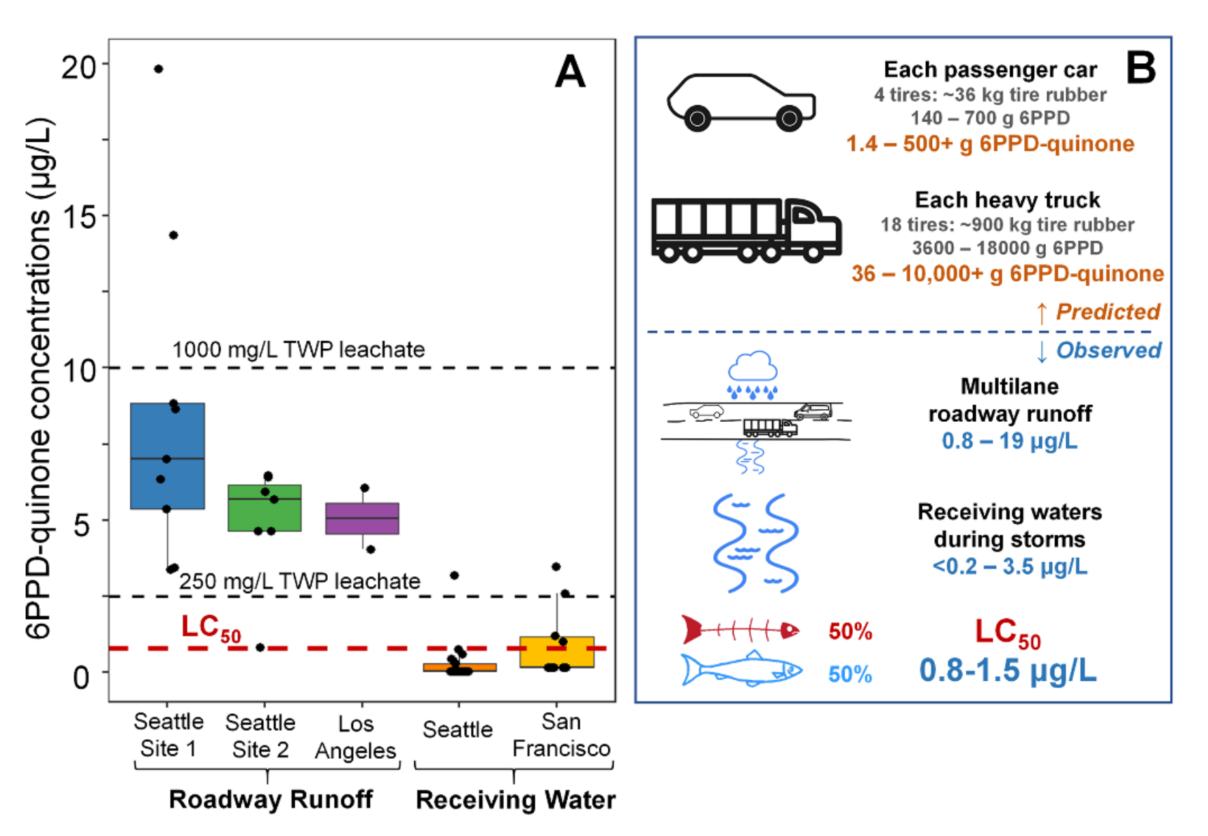 Environmental relevance of 6PPD-quinone. (A) Using retrospective UPLC-HRMS analysis of archived sample extracts, 6PPD-quinone was quantified in roadway runoff and runoff-impacted receiving waters. Each symbol corresponds to duplicate or triplicate samples, boxes represent first and third quartiles. For comparison, the 0.8 pg/L LC50 value for juvenile coho salmon and detected 6PPD-quinone levels in 250 and 1000 mg/L TWP leachate are included. (B) Predicted ranges of potential 6PPD-quinone mass formation in passenger cars (e.g., 4 tires, -36 kg tire rubber mass) and heavy trucks, (e.g., 18 tires, -900 kg of tire rubber) (represented in orange) and measured 6PPD-quinone concentrations in affected environmental compartments (represented in blue, with experimental data italicized). Predicted ranges reflect calculations applying 0.4-2% 6PPD per total vehicle tire rubber mass followed by various yield scenarios (1-75% ultimate yields) for 6PPD reaction with ground-level ozone to form 6PPD-quinone. Graphic: Tian, et al. / Science