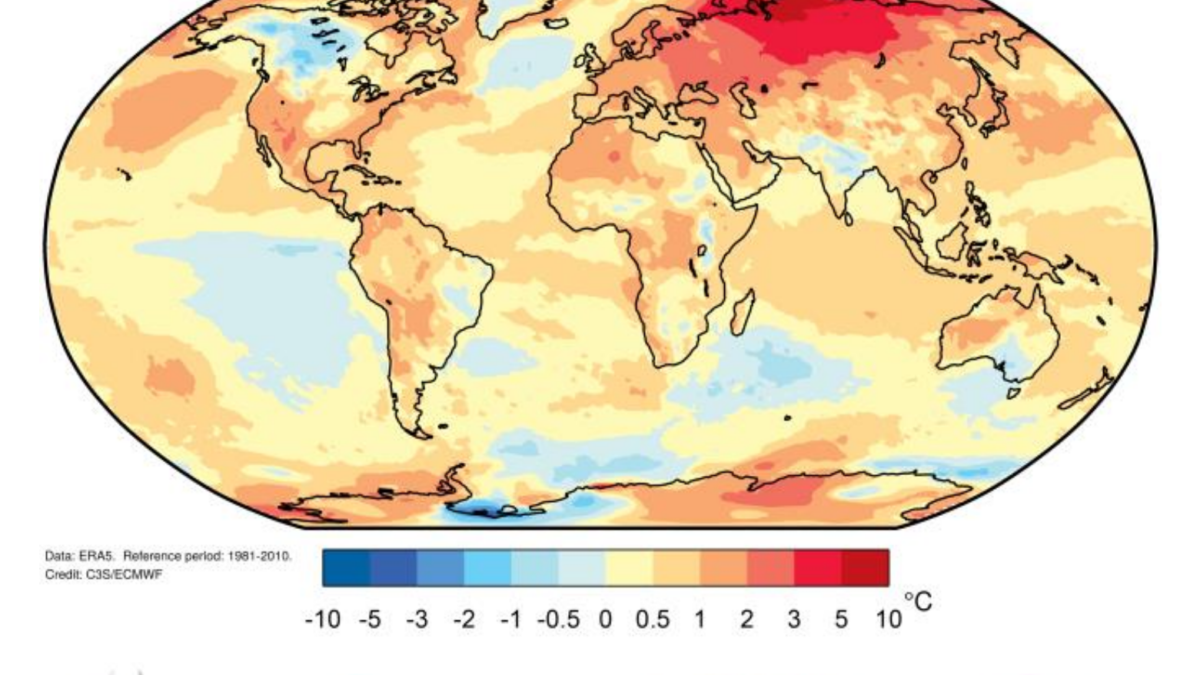Global map of temperature anomalies relative to the 1981-2010 long-term average from the ERA5 reanalysis for January to October 2020. Graphic: Copernicus Climate Change Service / ECMWF