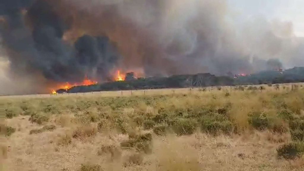 The Lucindale fire in South Australia’s south-east, 11 January 2021. More than 100 people were evacuated as the fire raged toward homes. While most homes and the township itself was saved, damage to farms was extensive, with sheds and machinery destroyed. The Lucindale Bushfire was contained after burning though 14,073 hectares of land. Photo: 9News