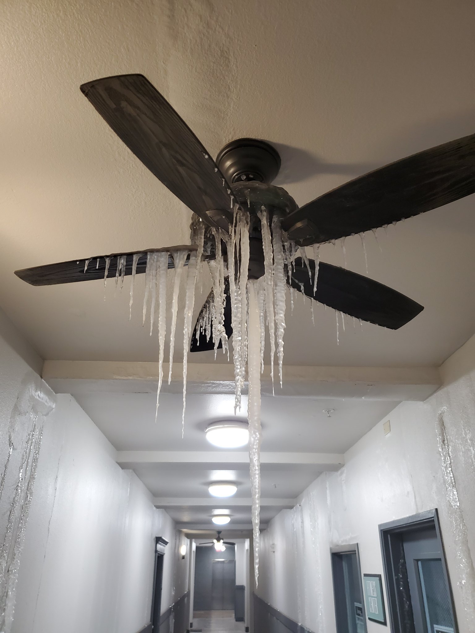 Icicles form on a ceiling fan in the hallway of an uptown Dallas apartment building during Winter Storm Uri, 15 February 2021. Photo: Thomas Black / Twitter