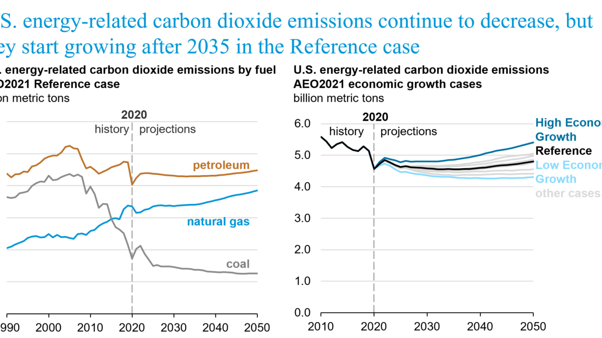 Projected energy-related carbon dioxide emissions in the United States, 2020-2050. Graphic: EIA
