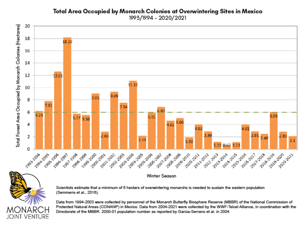 Total area occupied by monarch colonies at overwintering site in Mexico, 1993/1994-2020/2021. Scientists estimate that at least six hectares is necessary for a sustainable population of eastern monarchs. Graphic: WWF / Monarch Joint Venture