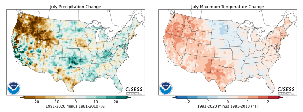 July precipitation change (left) and maximum temperature change (right), 1991-2020, compared with 1981-2010 averages. The Northwest is considerably drier as a percentage of the previous normal during what is already a dry season. The rest of the West is pockmarked with wetter and drier zones. The eastern two-thirds of the U.S. has an indistinct pattern of changes in the precipitation normals. Most of the East also remained near the same temperature levels, except for persistent cooling in the north central U.S. and warming in the Northeast. However, the entire West and lee of the Rocky Mountains and Texas are all considerably (up to 2°) warmer. Graphic: NCEI