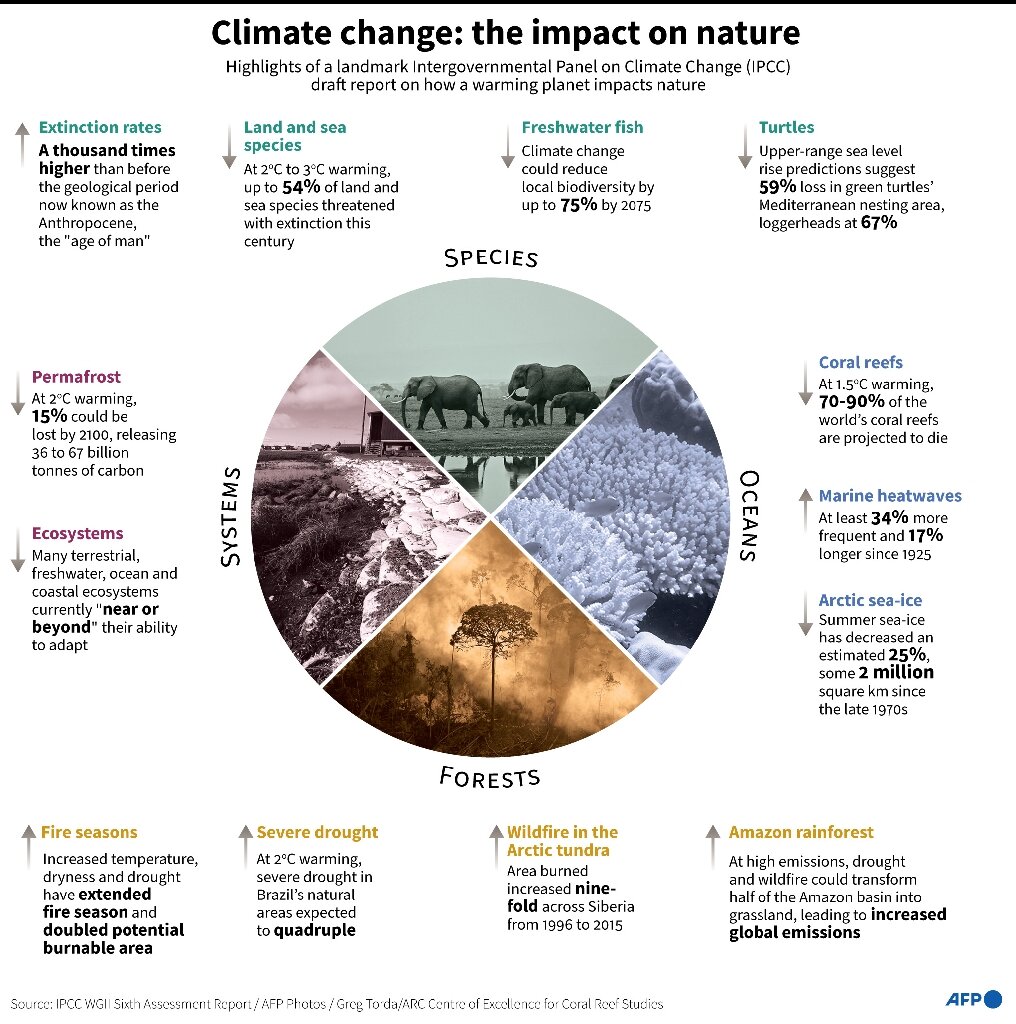 Climate change impacts on nature, showing highlights from the sixth IPCC draft report. Graphic: IPCC WG 2 Sixth Assessment Report / AFP
