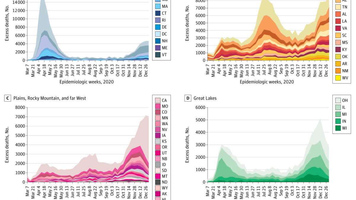 Covid data from U.S. states plotted from 8 regions, as defined by the US Bureau of Economic Analysis. Surge patterns were independently examined for each of the 8 regions; epidemic patterns were similar and could be merged as shown, except a bimodal pattern in the Great Lakes region was distinctive and plotted separately. Negative excess deaths were plotted as zero. Between 1 March 2020, and 2 January 2021, the US experienced 2,801,439 deaths, 22.9% more than expected, representing 522,368 excess deaths. The excess death rate was higher among non-Hispanic Black (208.4 deaths per 100 000) than non-Hispanic White or Hispanic populations (157.0 and 139.8 deaths per 100 000, respectively); these groups accounted for 16.9%, 61.1%, and 16.7% of excess deaths, respectively. The US experienced 4 surge patterns: in New England and the Northeast, excess deaths surged in the spring; in the Southeast and Southwest, in the summer and early winter; in the Plains, Rocky Mountains, and far West, primarily in early winter; and in the Great Lakes, bimodally, in the spring and early winter. Graphic: Woolf, et al., 2021 / JAMA