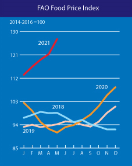 FAO Food Price Index, May 2020-May 2021. The FAO Food Price Index (FFPI) averaged 127.1 points in May 2021, 5.8 points (4.8 percent) higher than in April and as much as 36.1 points (39.7 percent) above the same period last year. The May increase represented the biggest month-on-month gain since October 2010. It also marked the twelfth consecutive monthly rise in the value of the FFPI to its highest value since September 2011, bringing the Index only 7.6 percent below its peak value of 137.6 points registered in February 2011. The sharp increase in May reflected a surge in prices for oils, sugar and cereals along with firmer meat and dairy prices. Graphic: UN FAO