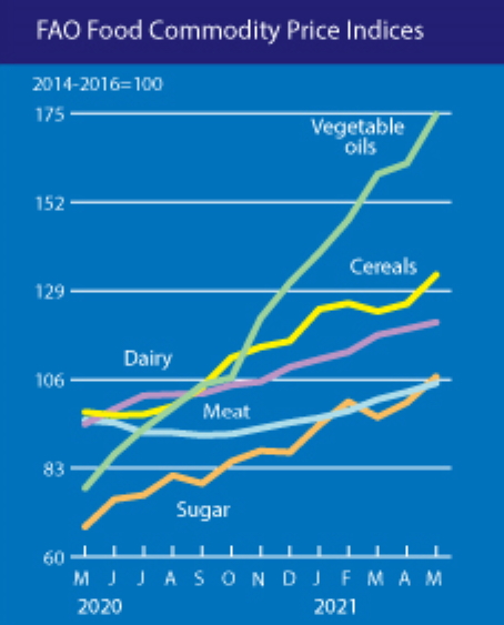 FAO Food Price Index, May 2020 - May 2021. The FAO Food Price Index (FFPI) averaged 127.1 points in May 2021, 5.8 points (4.8 percent) higher than in April and as much as 36.1 points (39.7 percent) above the same period last year. The May increase represented the biggest month-on-month gain since October 2010. It also marked the twelfth consecutive monthly rise in the value of the FFPI to its highest value since September 2011, bringing the Index only 7.6 percent below its peak value of 137.6 points registered in February 2011. The sharp increase in May reflected a surge in prices for oils, sugar and cereals along with firmer meat and dairy prices.  Graphic: UN FAO