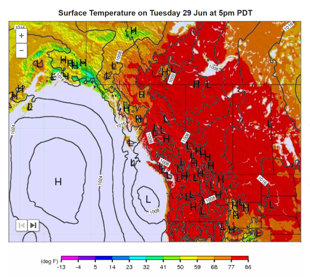 Surface temperature in the US Pacific Northwest and Canadian West, 29 June 2021. Graphic: Meteo365.com