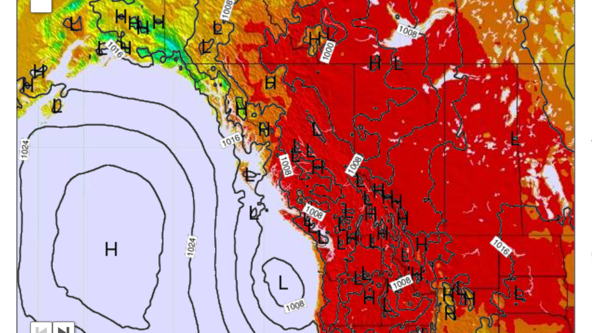 Surface temperature in the US Pacific Northwest and Canadian West, 29 June 2021. Graphic: Meteo365.com