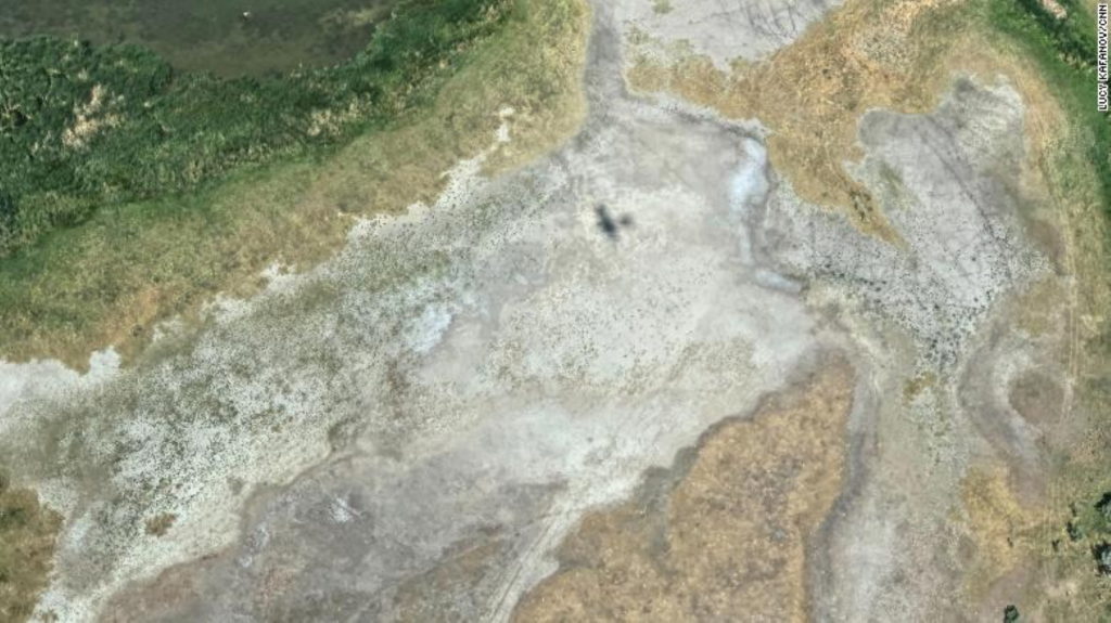 Aerial view of a dried-out portion of Great Salt Lake on Wednesday, 14 July 2021. Photo: Lucy Kafanov / CNN
