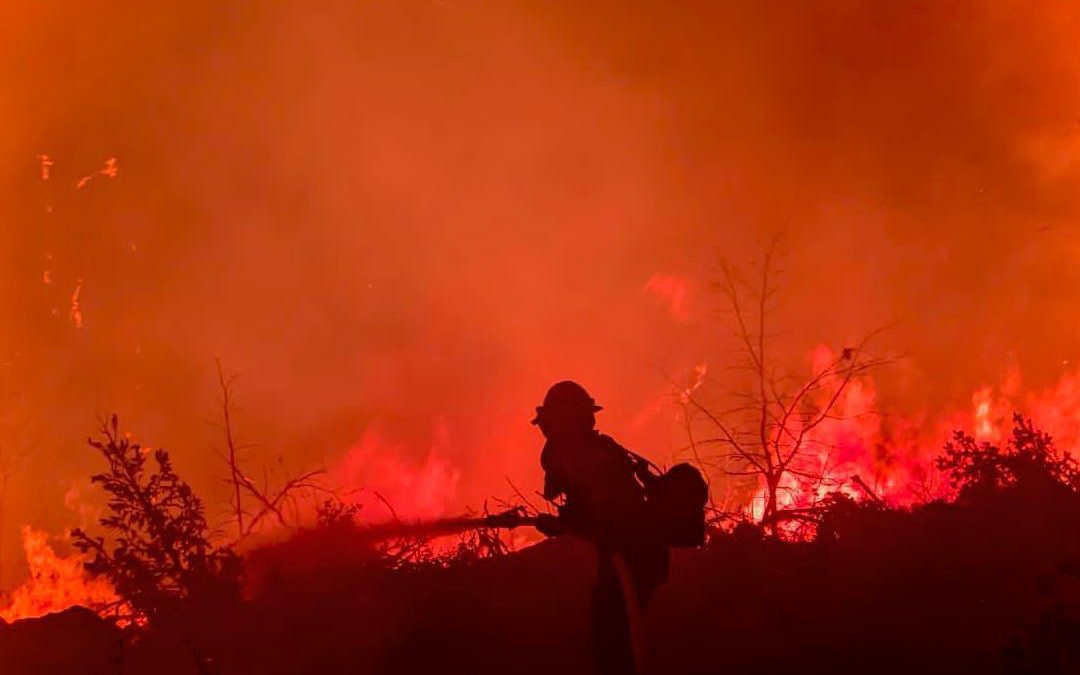 A firefighter works on the Dixie Fire in California, 22 July 2021. Photo: InciWeb