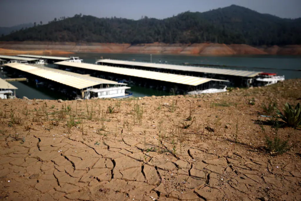 Low water levels are visible at Shasta Lake in Redding, California, on 2 July 2021, as the extreme drought emergency continues in parts of the West. Photo: Justin Sullivan / Getty Images