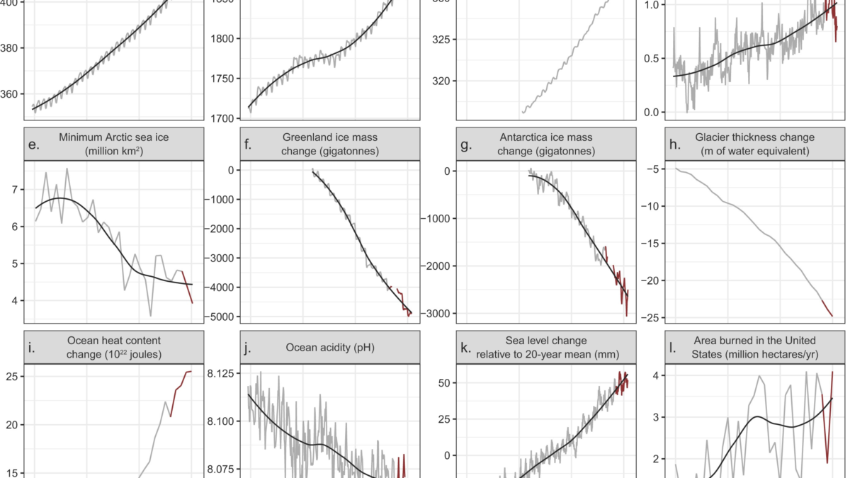 Time series of climate-related responses to anthropogenic drivers, 1990-2020. Out of the 31 tracked planetary vital signs, 18 were at new all-time record lows or highs in 2020. Data obtained before and after the publication of Ripple and colleagues (2020) are shown in gray and red respectively. For variables with relatively high variability, local regression trend lines are shown in black. The variables were measured at various frequencies (e.g., annual, monthly, weekly). The labels on the x-axis correspond to midpoints of years. Sources and additional details about each variable are provided in the supplemental material. Graphic: Ripple, et al., 2021 / BioScience