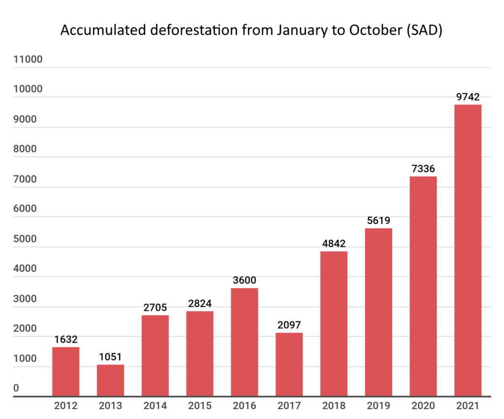 Accumulated deforestation from January to October 2012-2021. Graphic: Imazon / SAD
