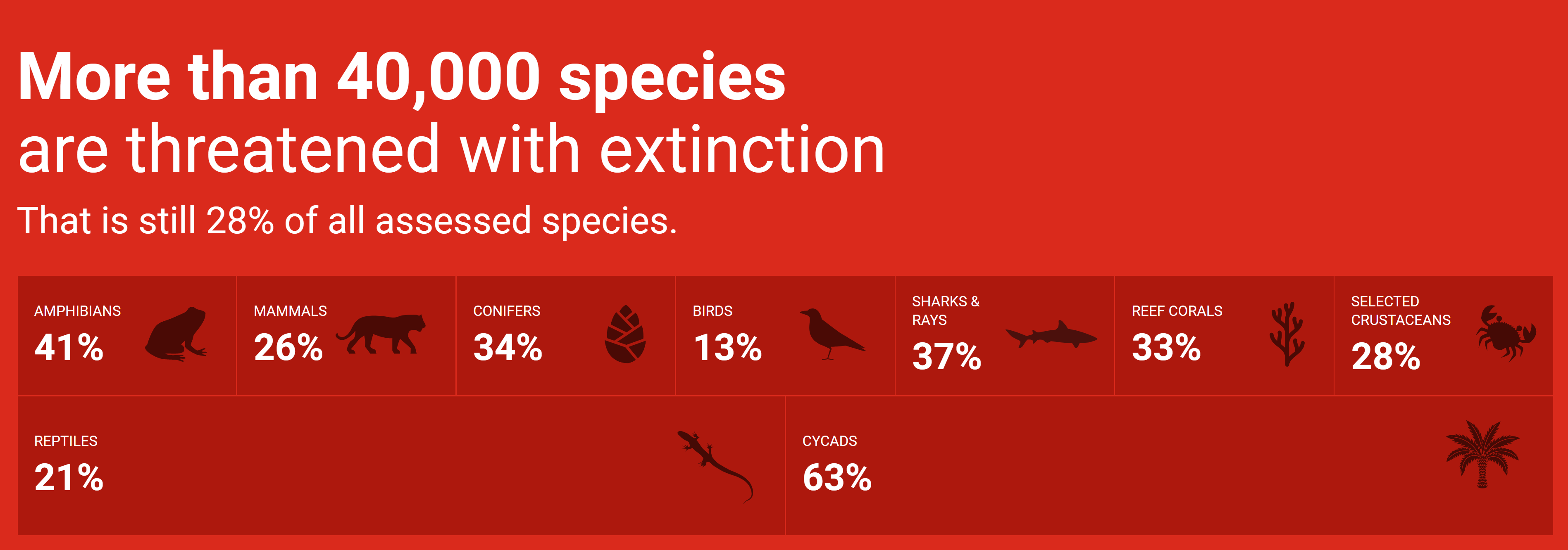 Banner from the WWF web site on 29 December 2021 showing more than 40,000 species are threatened with extinction, comprising 28 percent of all assessed species. Graphic: WWF