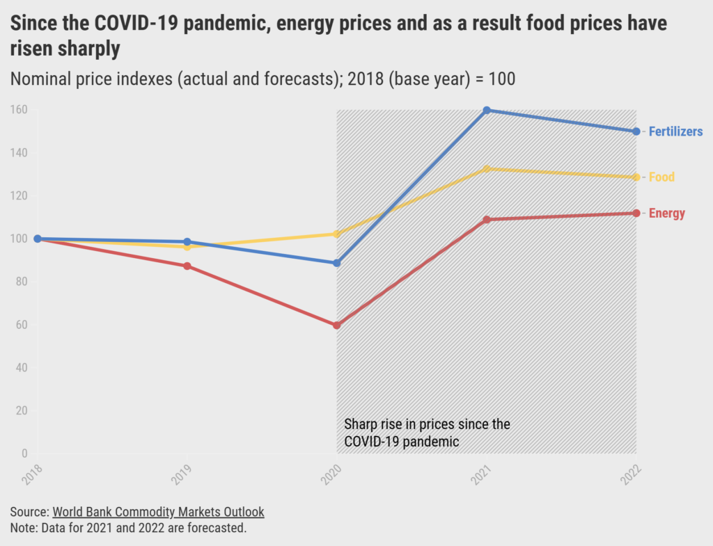 Nominal price indexes, 2018-2020 and forecast to 2022. Indexes are relative to the base year 2018 = 100. Since the COVID-19 pandemic, energy prices and as a result food prices have risen sharply. Energy prices were expected to average more than 80 percent higher in 2021 compared with 2020. Since energy is a critical commodity for food production and heating, these soaring prices can have downstream implications. Higher energy prices have already affected fertilizer prices, in turn increasing the cost of food production. In the latter half of 2021, food commodity prices began to stabilize in response to favorable global supply outlook, but they were still above pre-pandemic levels. Moreover, domestic food price inflation is rising in most countries, reducing poor people’s ability to afford healthy food. This can exacerbate food insecurity in developing countries. Graphic: World Bank Commodity Markets Outlook