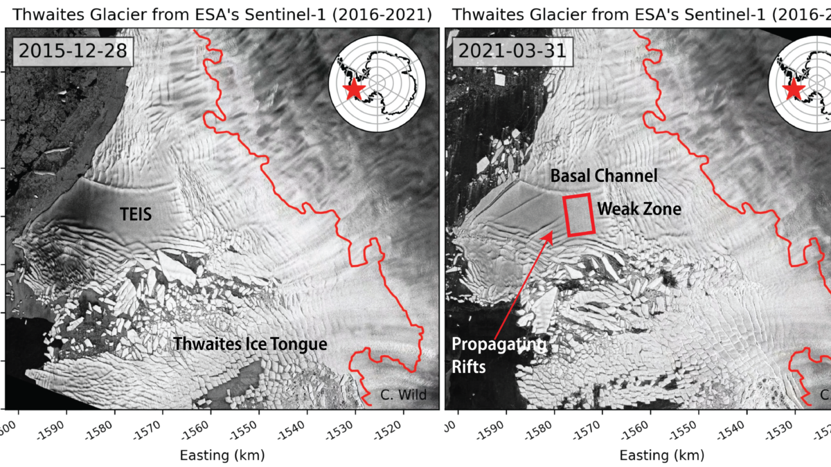 Satellite view of Antarctica’s Thwaites Glacier on 28 December 2015 (left) and 31 March 2021 (right). On 13 December 2021, Ice scientists at the American Geophysical Union (AGU) meeting in New Orleans warned that great cracks and fissures had opened up both on top of and underneath the Thwaites glacier, one of the biggest in the world, and it may fracture and collapse, possibly within five years. Photo: ESA Sentinel-1