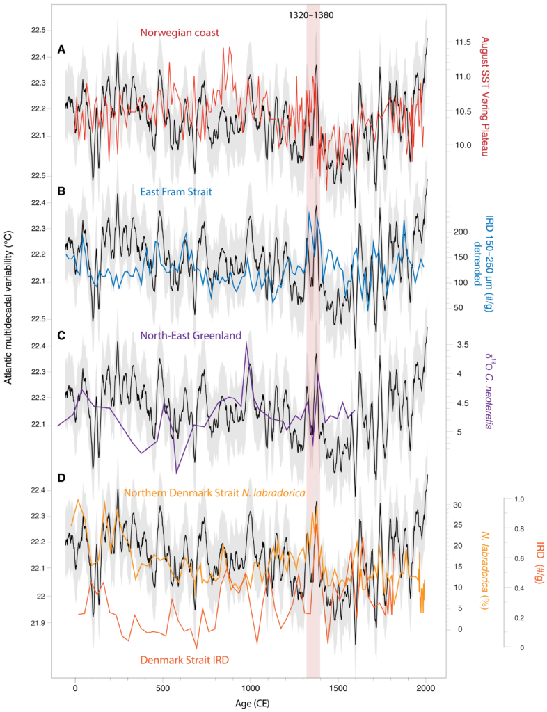 Upstream and downstream path of the North Atlantic Current in the Arctic. (A) Reconstructed August temperature in the Vøring Plateau (25), compared to AMV. (B) High-resolution IRD on the Eastern Fram Strait [core MSM5/5-712 (28)]. The IRD data were detrended to remove the neoglacial cooling trend. (C) C. neoteretis, a proxy for warm Atlantic waters in Western Fram Strait (core PS93/025) (29). (D) N. labradorica, a proxy for chilled Atlantic waters from core PS2641-4 (30) and IRD reported in Denmark Strait (32). The AMV is filtered by a 21-year Gaussian filter, and the gray-shaded area is the 95 percent confidence level of the reconstruction (23). Graphic: Lapointe and Bradley, 2021 / Science Advances