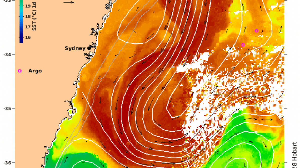 An ocean heatwave is shown in this map off the coast of New South Wales, Australia, 30 December 2021. Graphic: OceanCurrent