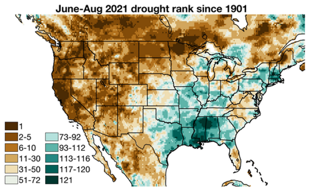 Map showing the drought rank since 1901 of the June-August 2021 summer season in the United States.  The drought that has enveloped southwestern North America for the past 22 years is the region’s driest “megadrought” — defined as a drought lasting two decades or longer — since at least the year 800. Graphic: Williams, et al., 2022 / Nature Climate Change