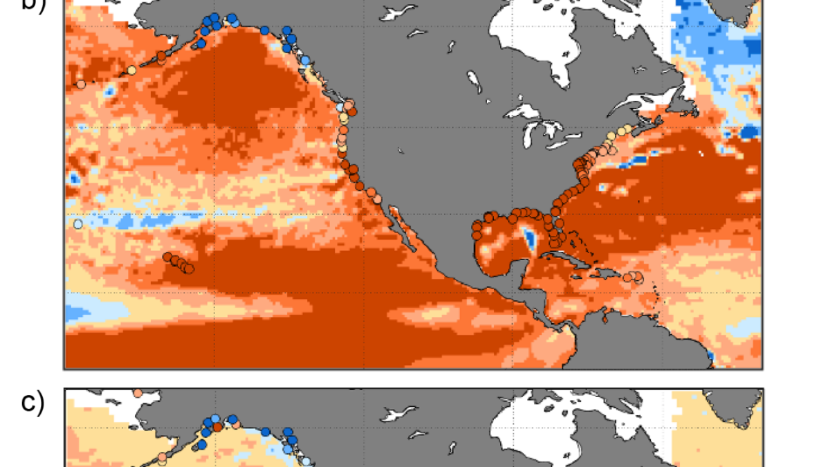 Maps showing regional sea level linear rates of rise (mm/year) from satellite altimetry over three different time periods: (a) 1993–2006, (b) 2007–2020, and (c) 1993–2020. Linear rates of change of relative sea level (ocean and land height changes) from tide gauges over the same time period are also shown (circles). Graphic: Sweet, et al., 2022 / NOAA