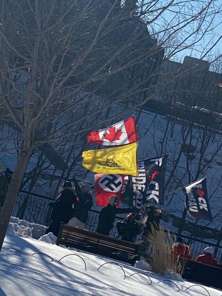 Protesters carry swastikas and other flags at the truckers' anti-vaccine occupation in Ottawa, 29 January 2022. Photo: Centre for Israel and Jewish Affairs / Twitter
