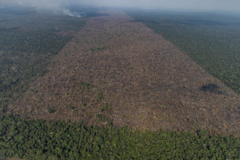 Aerial view of an area in the Amazon deforested for the expansion of livestock, in Lábrea, Amazonas state. The Amazon is still covered in smoke and torn by criminal and unrestrained destruction, according to overflights produced by the Amazon in Flames Alliance, organized by Amazon Watch, Greenpeace Brazil and the Brazilian Climate Observatory. The expedition took place between September 13th and 17th 2021, in the cities of Porto Velho (Rondônia state) and Lábrea (southern Amazonas state). Photo: Victor Moriyama / Amazônia em Chamas / Greenpeace