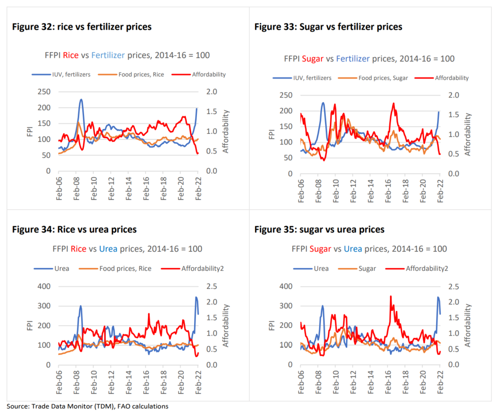 Commodity prices for sugar and rice vs. fertilizer and urea prices, February 2006 - February 2022. With prices for fertilizers and other energy-intensive products expected to rise as a consequence of the Russian invasion of Ukraine, overall input prices are expected to experience a considerable boost, resulting in lower affordability for farmers and ultimately lower use levels, in theory contingent on the level of output prices. For instance, the recent price increases for fertilizers were so pronounced that they exceeded the price increases for outputs by a considerable margin. The result was a sharp decline in the affordability of fertilizers, which was particularly pronounced for agricultural products that have so far been spared by the otherwise widespread price increases. This was particularly the case for rice and sugar (Figure 32 to 35), where sharply higher fertilizer prices resulted in a precipitous decline in affordability levels. Lower levels of affordability in turn will almost inevitably result in lower input use and, as a consequence, lower yields and compromised qualities in the next cropping season (e.g., lower protein levels in milling wheat). Graphic: FAO